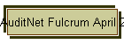 AuditNet Fulcrum April 23 Presentation - 042309.pdf