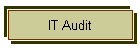 IT Audit